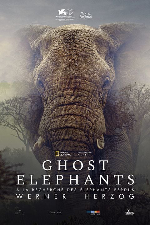 Ghost éléphants
